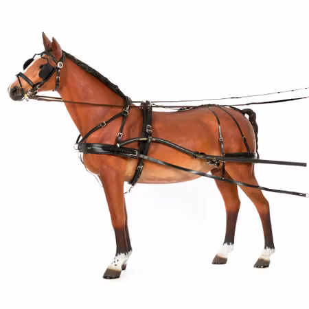 Classic Single Harness - Black Cob