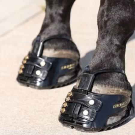 Scoot Adjust (Enduro)