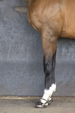 Scoot Boots TheraRide