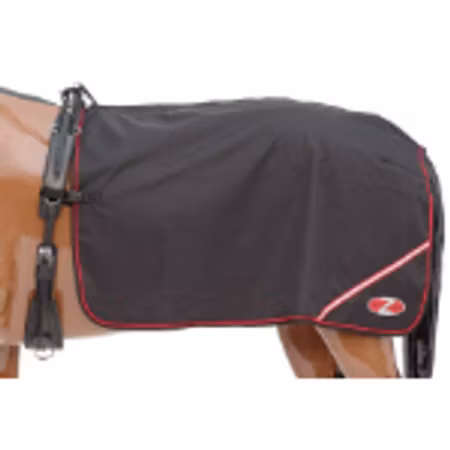 Deluxe Quarter Sheet - XL