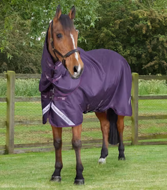 Premier Equine Stratus 600D 0g Utetäcke med hals