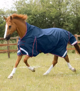 Premier Equine Buster Hardy 0g Utetäcke med halvhals