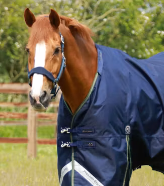 Premier Equine Titan 40g Utetäcke med Snug-Fit-hals – Navy