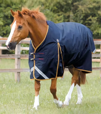 Premier Equine Buster 50g Utetäcke utan hals – Navy