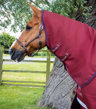 Premier Equine Titan 50g Utetäcke med hals – Burgundy