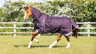 Premier Equine Buster 70g Utetäcke med hals