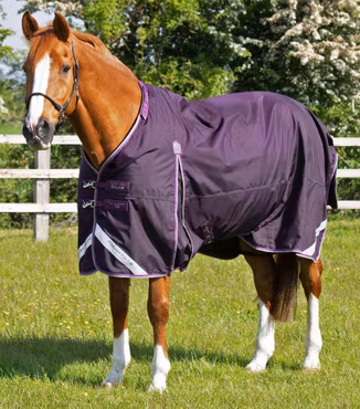 Premier Equine Buster 70g Utetäcke med hals