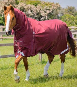 Premier Equine Buster Storm 90g Utetäcke med hals