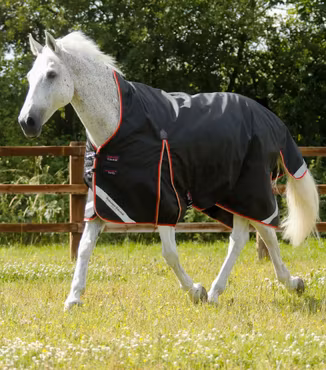 Premier Equine Buster Hardy 100g Utetäcke med halvhals