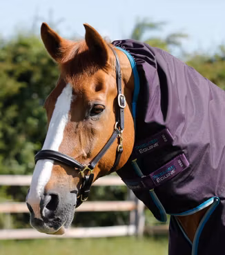 Premier Equine Buster Storm 100g Utetäcke med Snug-Fit-hals