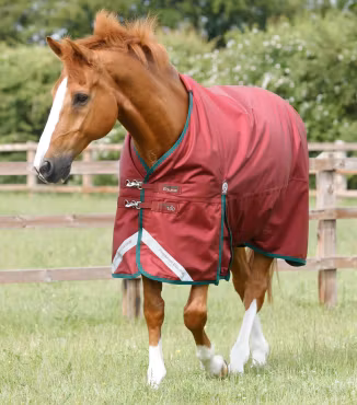 Premier Equine Titan 100g Utetäcke