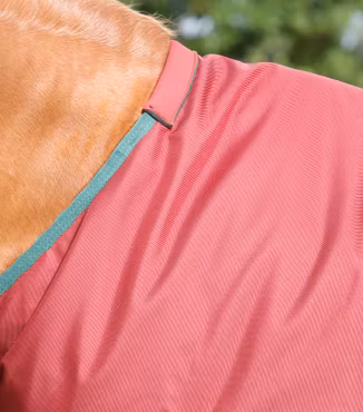 Premier Equine Titan 100g Utetäcke