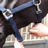 Lami-Cell Grooming Halter