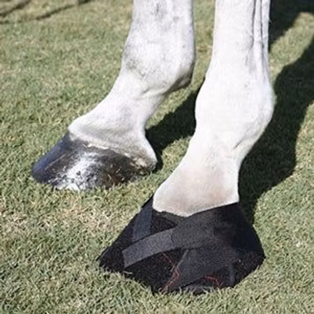 Ice Horse Hoof Wraps Bandage – hovbandage