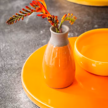 9308 Carnelian Yellow PRO