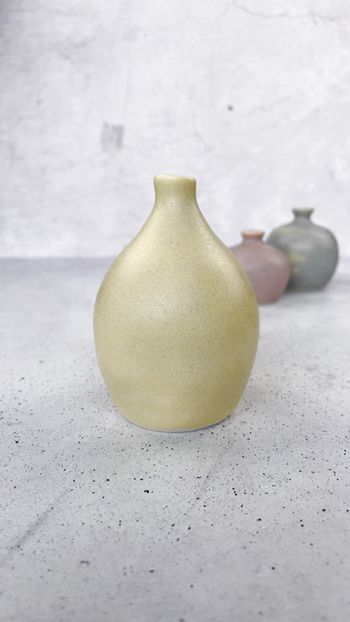 9862 Desert Yellow