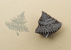 Fern 2