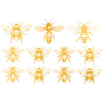 Dekal Gold Bee