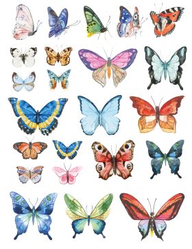 Dekal Butterfly