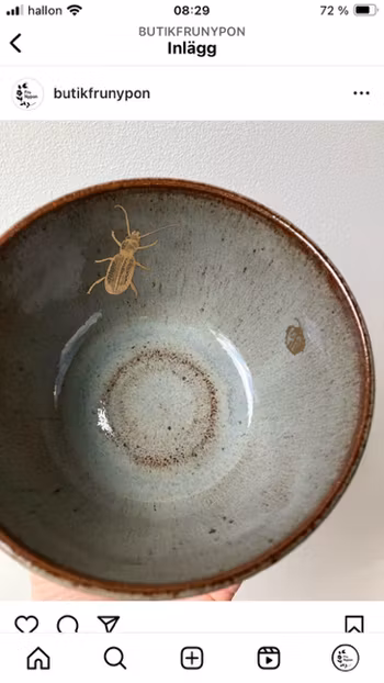 Dekal Gold Bugs