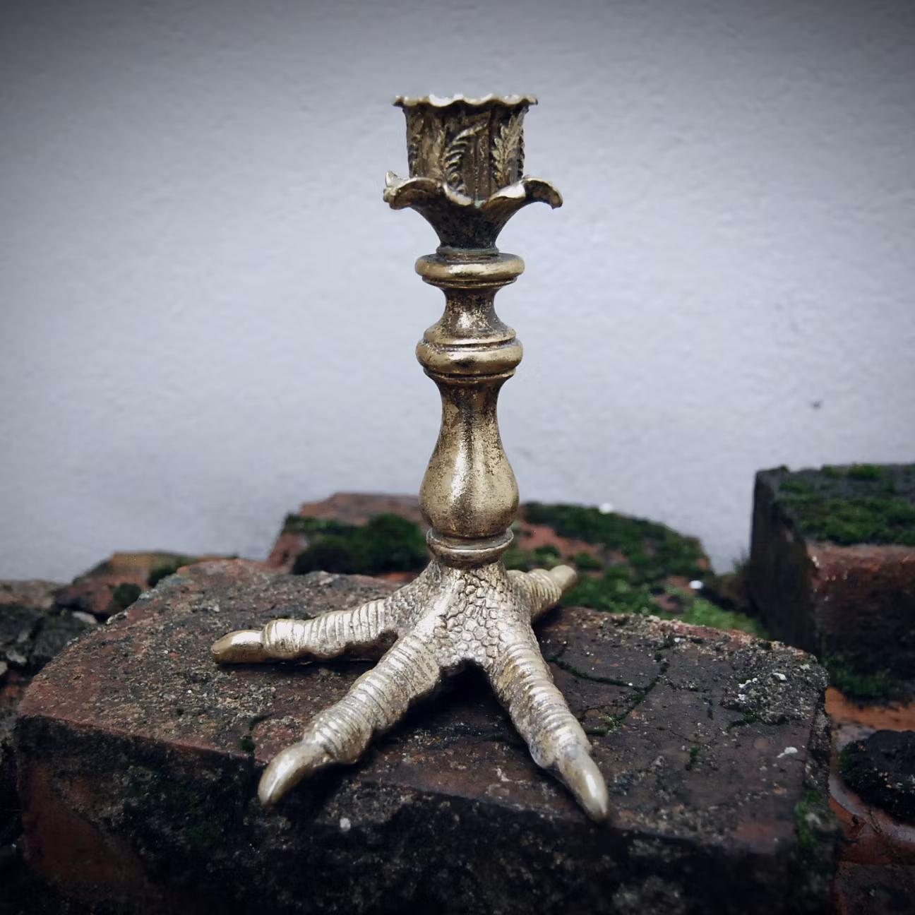 Ljusstake fågelfot