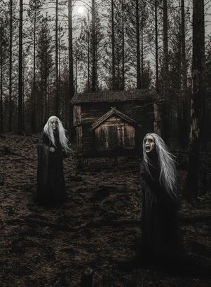 "Knarr i bränd skog" print