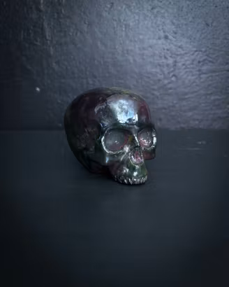 Blank kromad skalle