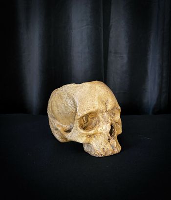 Ljuslykta skalle gulnad naturfärgad liten