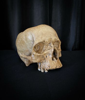 Ljuslykta skalle gulnad naturfärgad