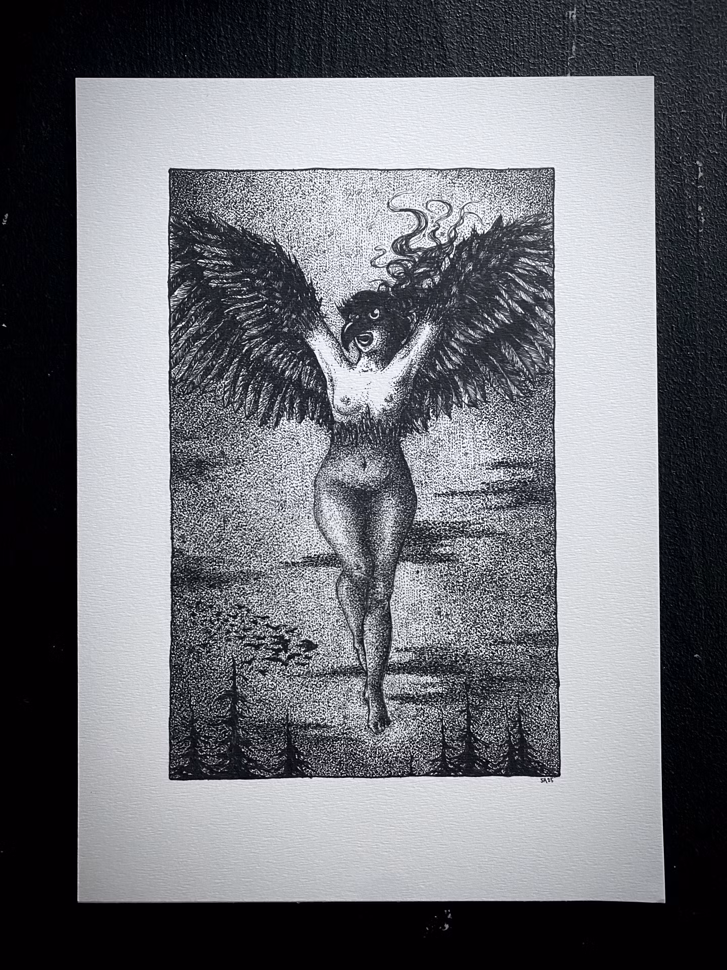 Vildvittra print