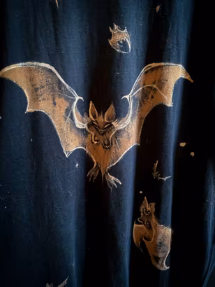 Fladdermus #2 t-shirt