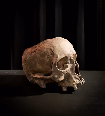 Ljuslykta skalle gulnad naturfärgad