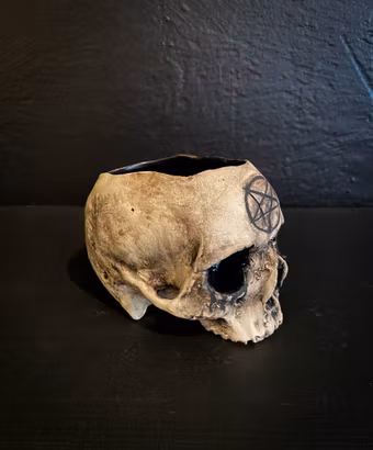 Mug skull