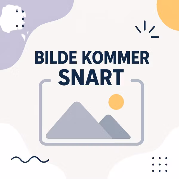 Magnetiske Visittkort