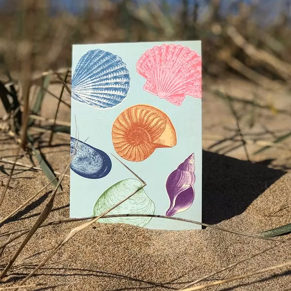 Kort - Bright Shells