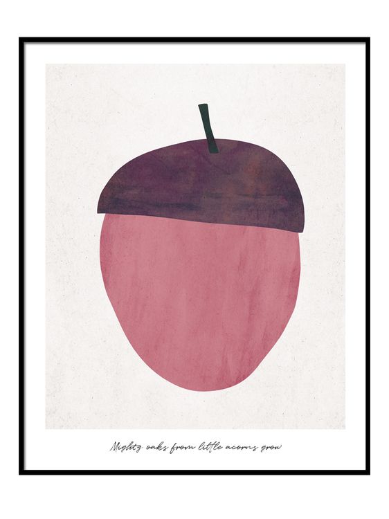 Acorn