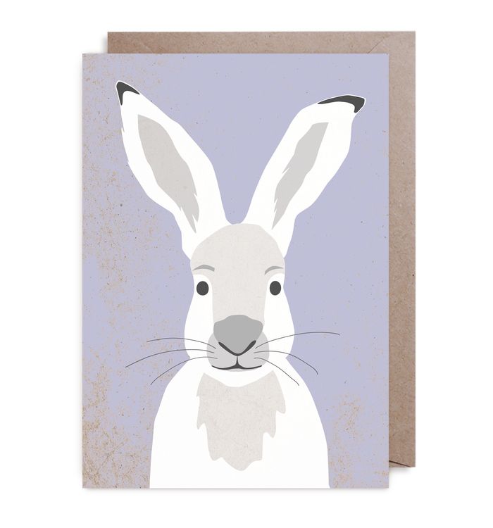 Kort - Hare