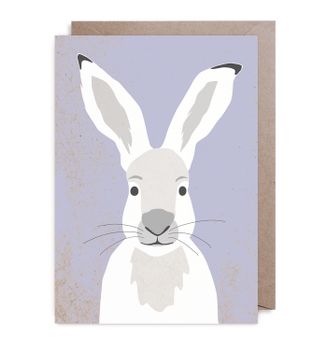 Kort - Hare