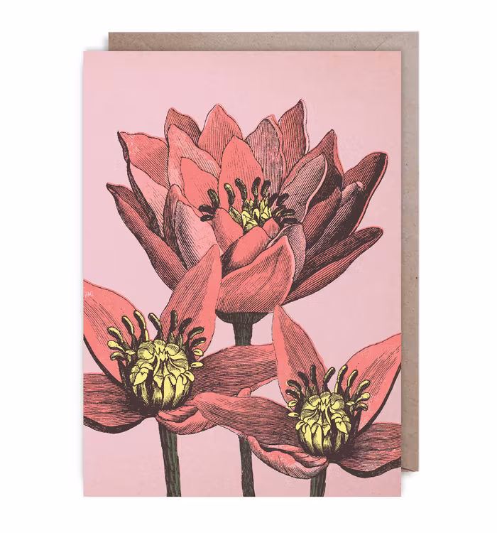 Kort - Bright red flowers