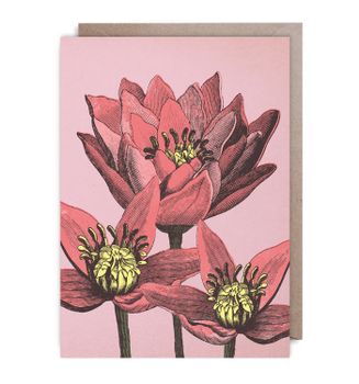 Kort - Bright red flowers