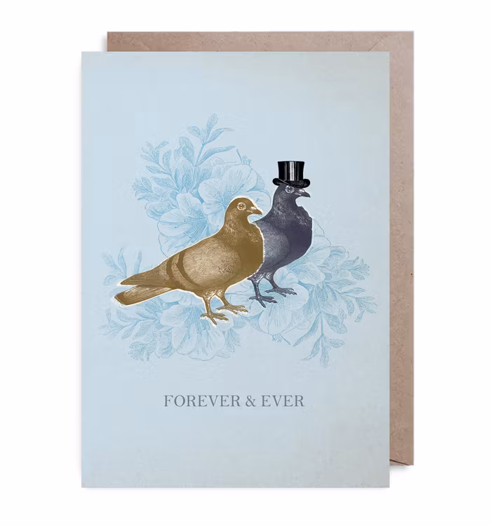 Kort Doves