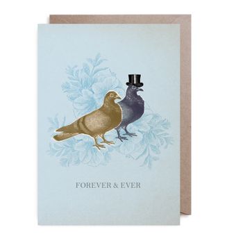 Kort Doves