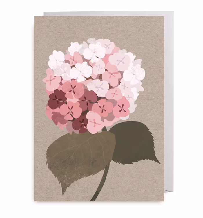 Kort - Hortensia Pink