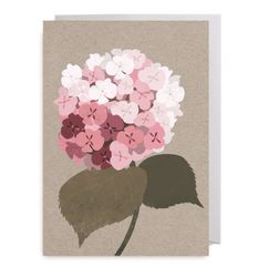 Kort - Hortensia Pink