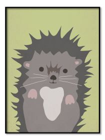 Poster - Igelkott