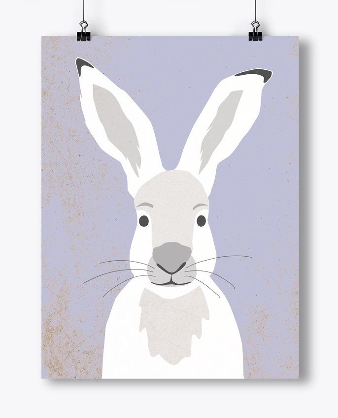 Poster - Hare