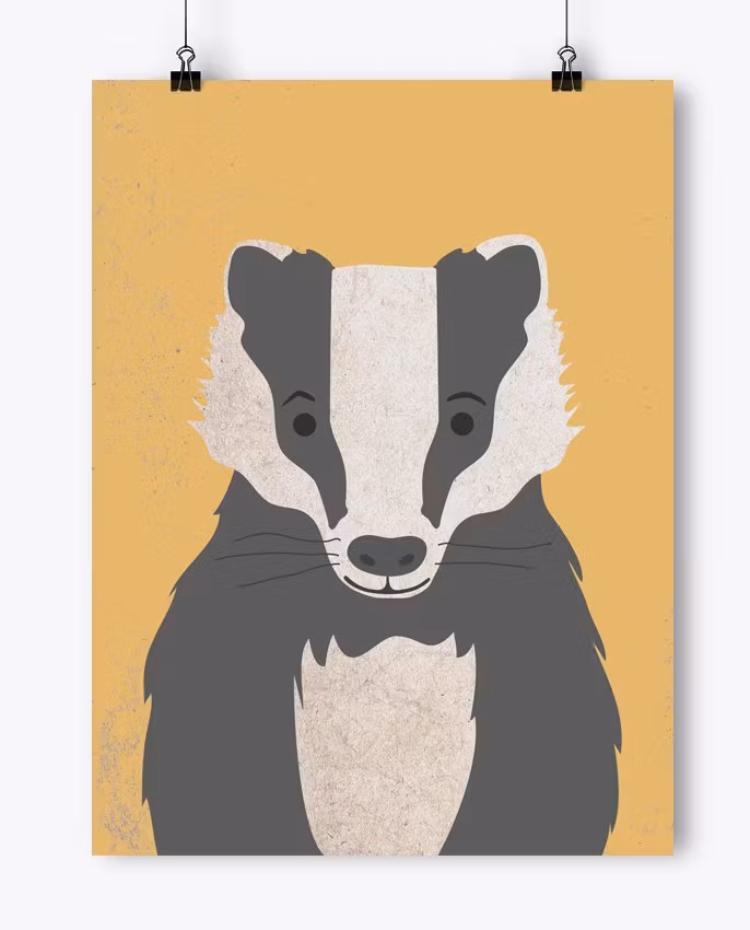 Poster - Grävling