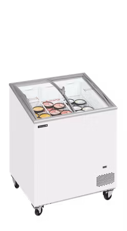 Glassfrys IC202SCEB | TEFCOLD