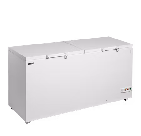 Glassfrys FR606 SL | TEFCOLD