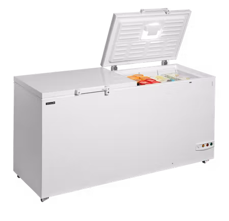 Glassfrys FR606 SL | TEFCOLD